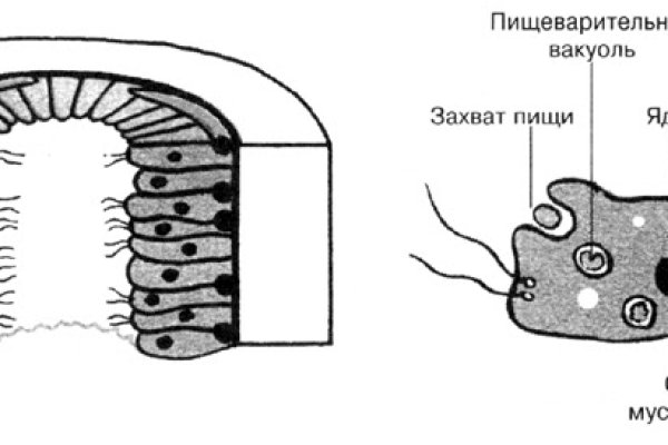 Мега кракен