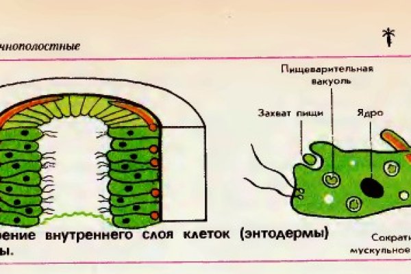 Кракен вход на сайт